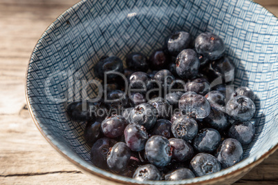 Organic blueberries in a blue and white bowl