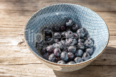 Organic blueberries in a blue and white bowl