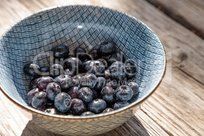 Organic blueberries in a blue and white bowl