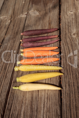 Natural colorful baby carrots in orange, yellow and purple