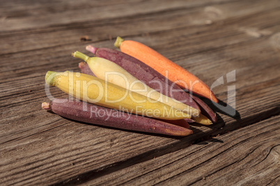 Natural colorful baby carrots in orange, yellow and purple