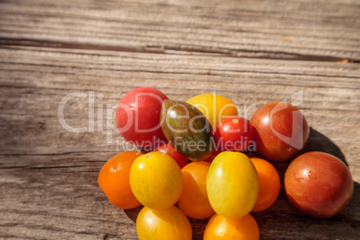 Bright colorful cherry tomatoes in red, yellow, green and purple