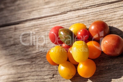 Bright colorful cherry tomatoes in red, yellow, green and purple