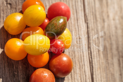 Bright colorful cherry tomatoes in red, yellow, green and purple