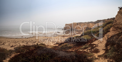 Fog drifts in over the ocean at Crystal Cove state beach