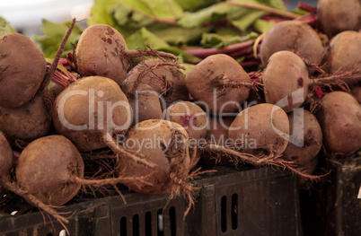 Bushel of red beets grown locally