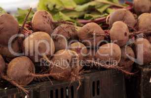 Bushel of red beets grown locally