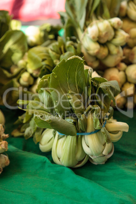 Organic green Chinese bok choy