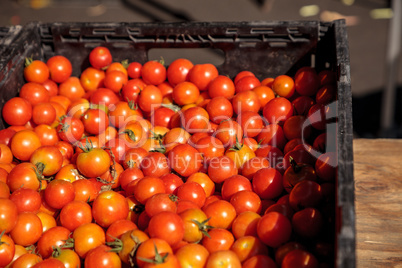 Mix of colorful cherry tomatoes