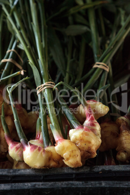 Organic raw ginger root