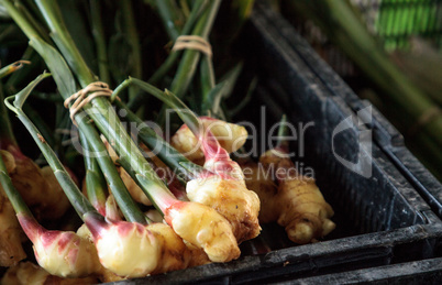 Organic raw ginger root