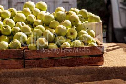 Bushel of green apples in a crate at a farmer?s market