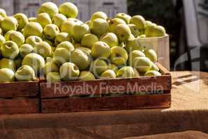 Bushel of green apples in a crate at a farmer?s market