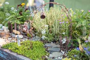 Bonsai mini garden planter scene set up in a garden