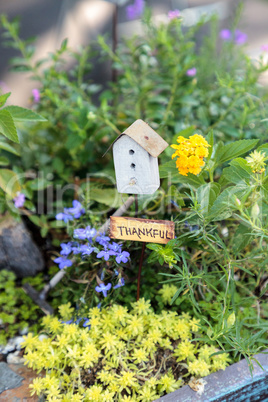 Bonsai mini garden planter scene set up in a garden