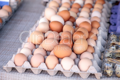 Egg Crates of brown and white eggs at a local farmers market