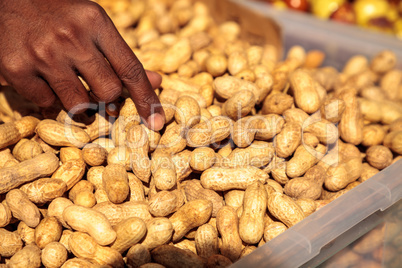 Crate of organic peanuts still in a shell