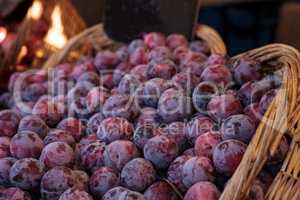 Red purple pluots also called plumbs in a basket sold at a farme