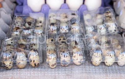 Small Egg Crates of speckled quail eggs