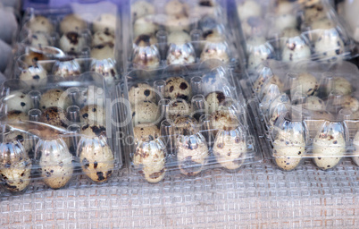 Small Egg Crates of speckled quail eggs