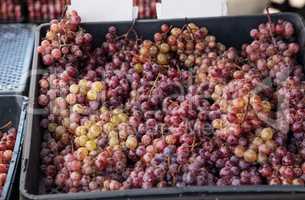 Bunches of Red flame grapes in a basket sold at a farmers market