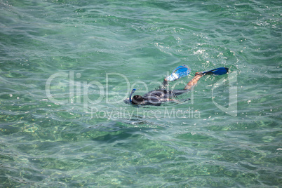 Snorkeling diver looking for fish in the warm waters