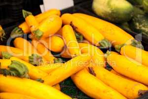 Yellow zucchini also called summer squash