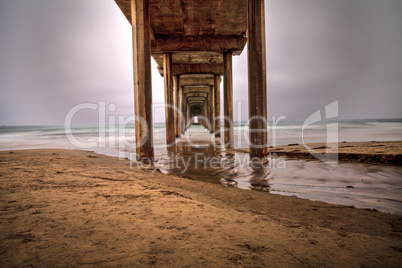 Under the Scripps pier in La Jolla