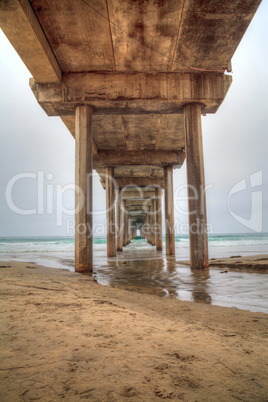 Under the Scripps pier in La Jolla