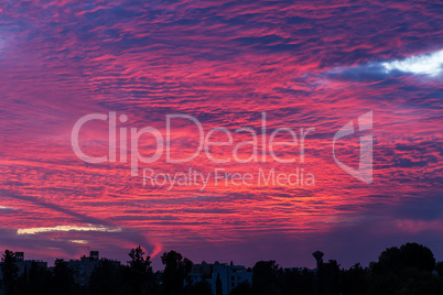 Pink clouds in the blue sky.