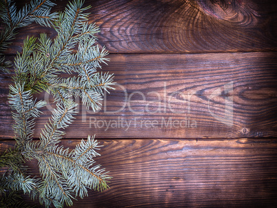 green spruce branch on a brown wooden background