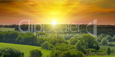 Green fields and bright sunrise. Wide photo. Agricultural landsc