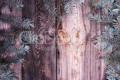 Spruce branches on a gray wooden background