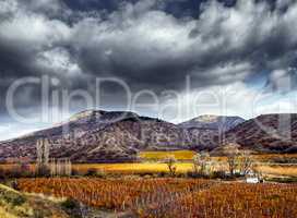 Vineyards. The Autumn Valley. HDR