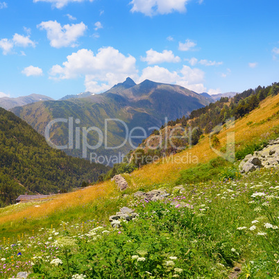 Mountain landscape,meadow, hiking trail and beautiful sky.