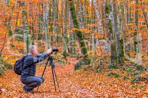 Photographer take pictures  of beautiful beech forest near town
