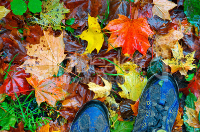 Walking through autumn park