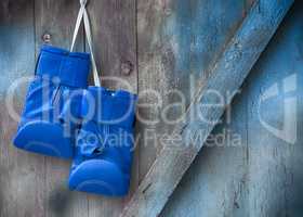 Blue boxing gloves hang on a nail on a wooden shabby wall