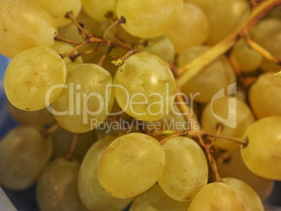 white grape fruit food