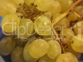 white grape fruit food