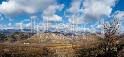 Vineyards. The Autumn Valley