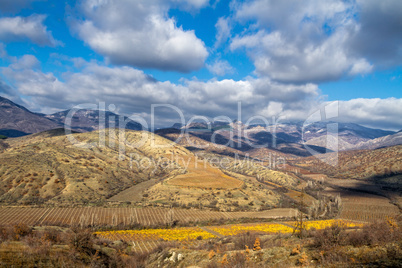 Vineyards. The Autumn Valley