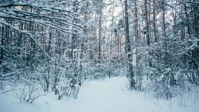 Winter snow forest with red sunny lights in the trees