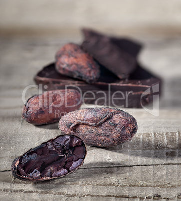 Cocoa beans and piece of dark chocolate