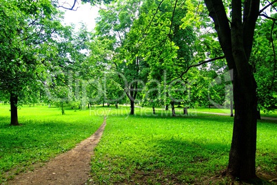 Moscow Park in spring on a clear day