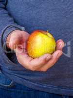 Hand holds apple