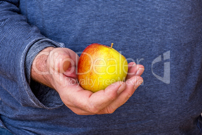 Hand holds apple