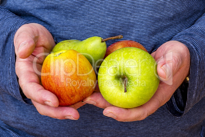 Hand holds apples and pear