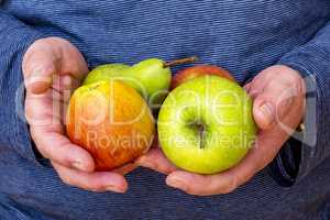 Hand holds apples and pear