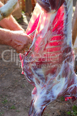 butcher cuts meat of a goat